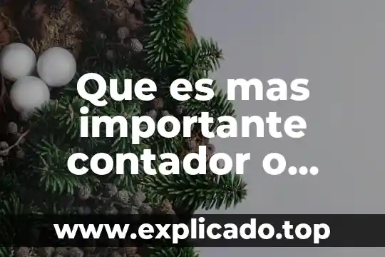 Que es un contador de costos 5 Que es mas importante contador o financiero