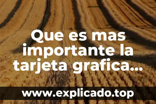 Por que es importante anuel aa 4 Que es mas importante la tarjeta grafica o el procesador