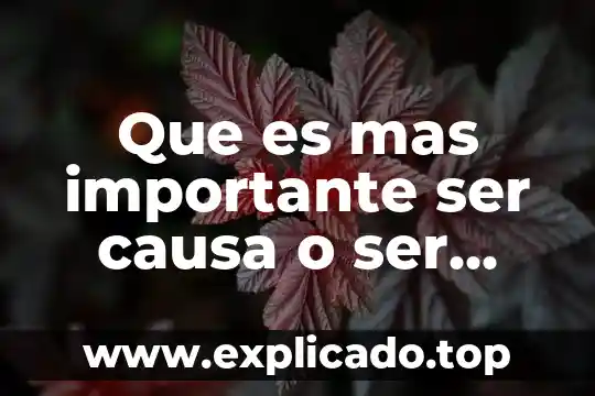 Sustentable ambiental que es el consumo responsable 3 Que es mas importante ser causa o ser responsable