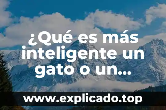 ¿Qué es más rápido, un gato o un perro? 5 ¿Qué es más inteligente un gato o un perro?