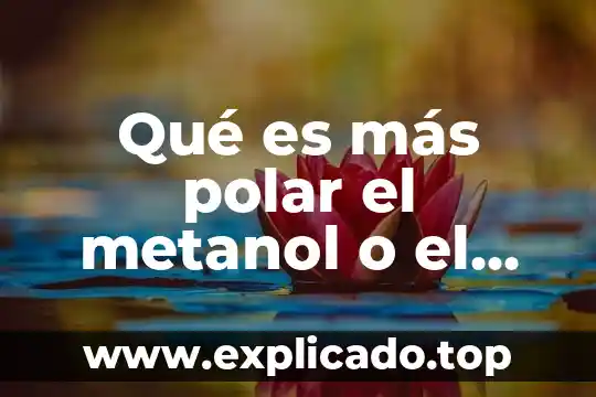 Que es objetivo general en administracion 7 Qué es más polar el metanol o el acetonitrilo