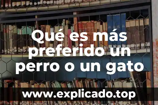 ¿Qué es más rápido, un gato o un perro? 6 Qué es más preferido un perro o un gato