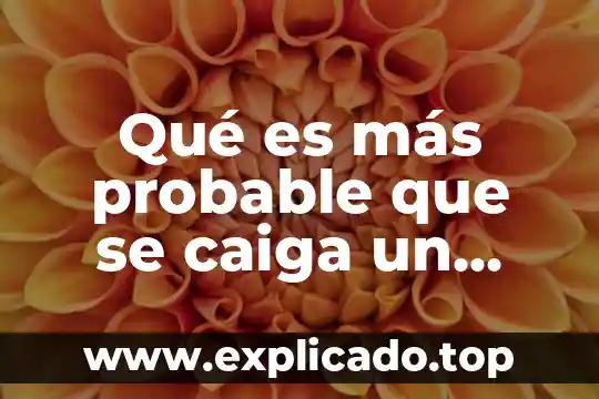 Que es el tiempo mas probable 7 Qué es más probable que se caiga un avión