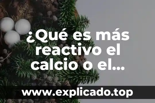 ¿Qué es el reactivo de Lugol y para qué sirve? 5 ¿Qué es más reactivo el calcio o el oxígeno?