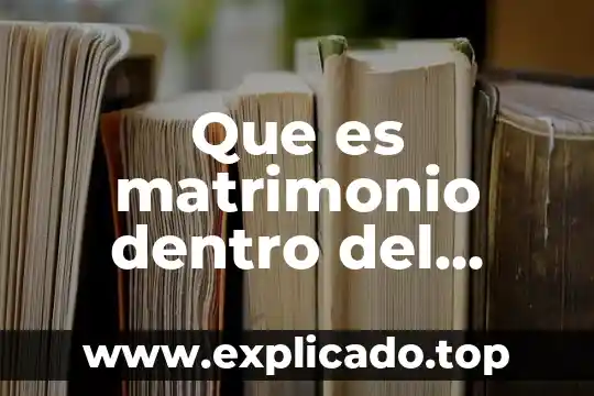 Que es la prueba en el nuevo codigo procesal penal 4 Que es matrimonio dentro del codigo civil