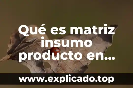 Que es un producto de desdoblamiento 6 Qué es matriz insumo producto en macroeconomía