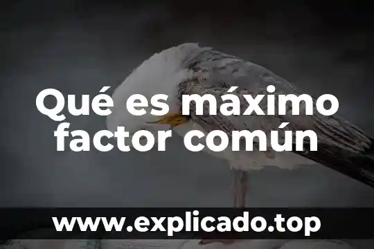 Que es el factor cinetico en quimica 3 Qué es máximo factor común