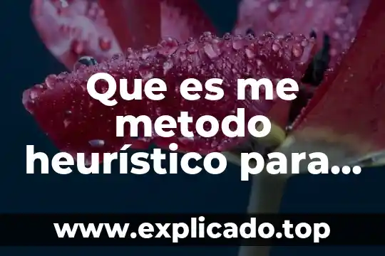 Qué es impronta personal 8 Que es me metodo heurístico para problemas binarios