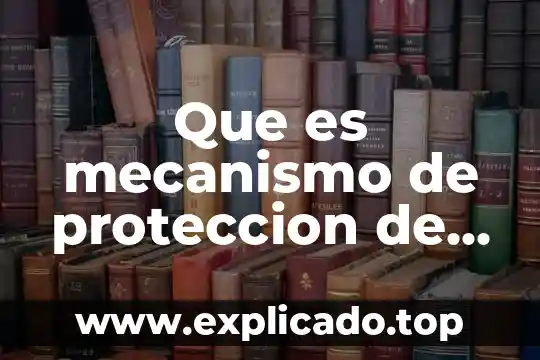 Que es el sistema universal de os derechos humanos 3 Que es mecanismo de proteccion de los derechos humanos