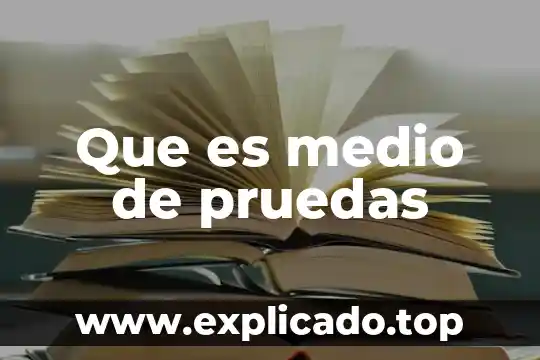 Que es un medio nutritivo 6 Que es medio de pruedas