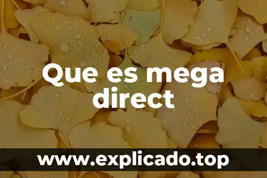 Por que es importante la conciencia fonologica 6 Que es mega direct