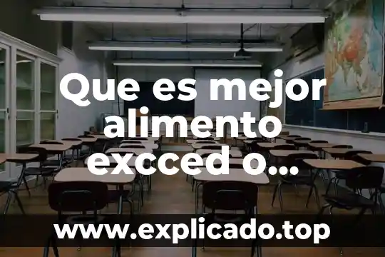 Que es un acompañamiento de un un alimento 6 Que es mejor alimento excced o ganador premium