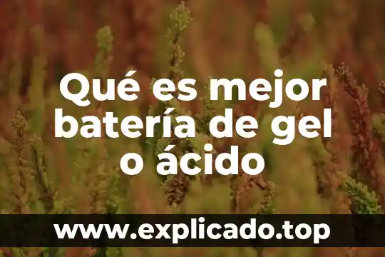 Ácido úrico en sangre qué es 7 Qué es mejor batería de gel o ácido