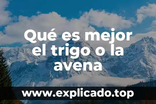 Avena que es libro 5 Qué es mejor el trigo o la avena