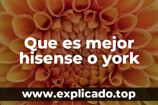 Que es la auditoria segun asf 6 Que es mejor hisense o york