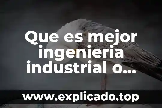 Que es un sistema en ingenieria 6 Que es mejor ingenieria industrial o mecanica