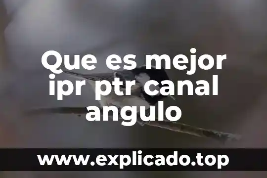 Qué es canal en ciencias de la comunicación 7 Que es mejor ipr ptr canal angulo