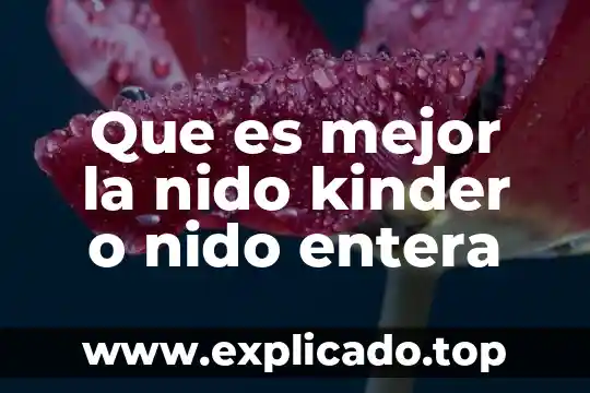 Amores verdaderos liliana se entera que es una balvanera 5 Que es mejor la nido kinder o nido entera