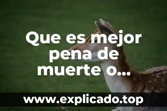 Qué es el nivel trófico en la cadena alimenticia 4 Que es mejor pena de muerte o cadena perpetua
