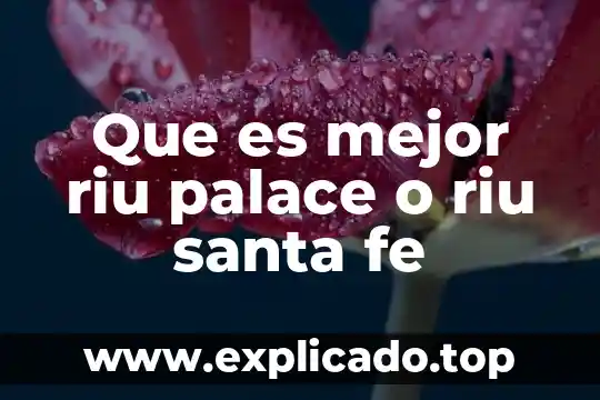Que es tener fe publica 8 Que es mejor riu palace o riu santa fe