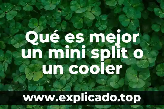 Que es mejor pasaporte o visa 3 Qu茅 es mejor un mini split o un cooler