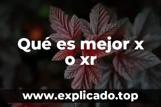 Qué es mejor x o xr