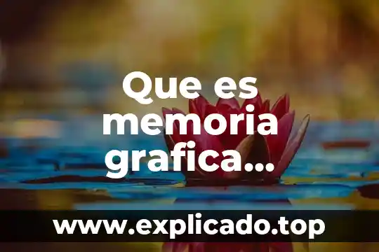 Que es memoria grafica de la rueda de prensa 6 Que es memoria grafica compartida