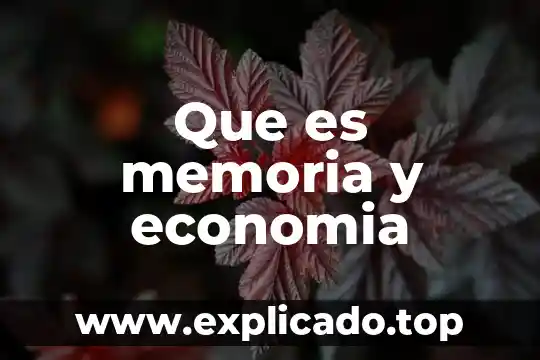 Que es memoria grafica de la rueda de prensa 5 Que es memoria y economia