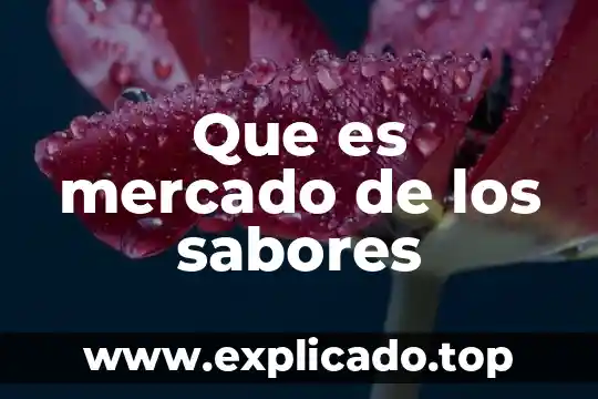 Desiquilibrio de mercado que es 3 Que es mercado de los sabores