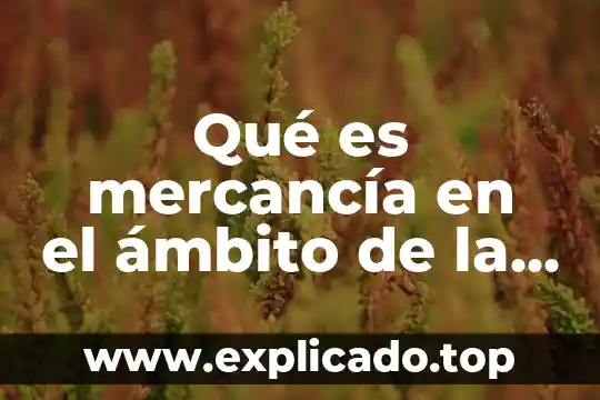 Que es una aficion personal ejemplos 3 Qué es mercancía en el ámbito de la economía
