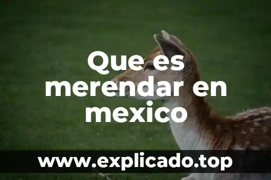 Que es el derecho contemporaneo en mexico 4 Que es merendar en mexico