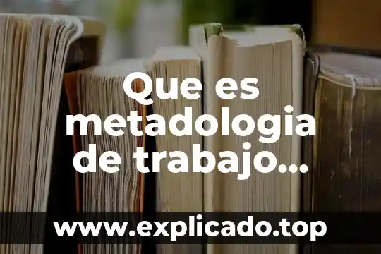 Definicion de que es una entrevista directa 6 Que es metadologia de trabajo definicion