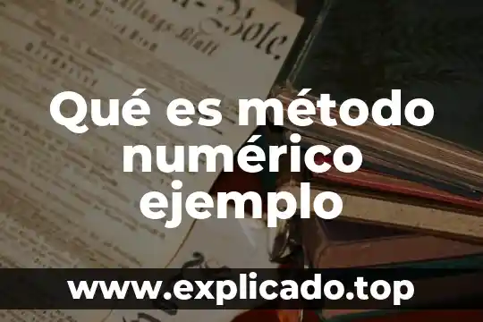 Que es una clasificacion de sistema numerico 5 Qué es método numérico ejemplo