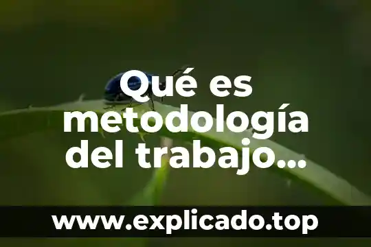 Que es el nivel tecnico superior universitario 8 Qué es metodología del trabajo universitario