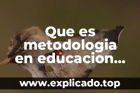 Que es metodologia en educacion tipos