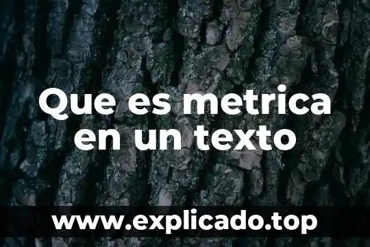 Que es metrica en un texto