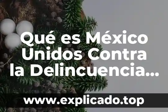 A.c que es cuando comienza 4 Qué es México Unidos Contra la Delincuencia AC