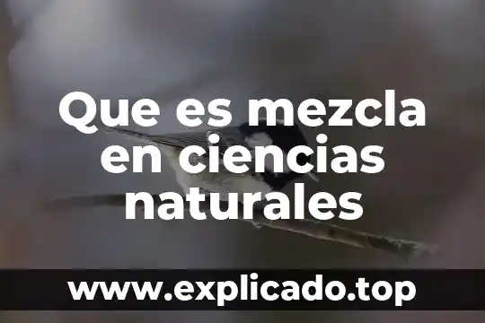 Que es metodo ciencias sociales 5 Que es mezcla en ciencias naturales