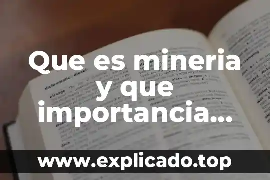 Por que es necesaria la minería de datos 7 Que es mineria y que importancia tiene en mexico
