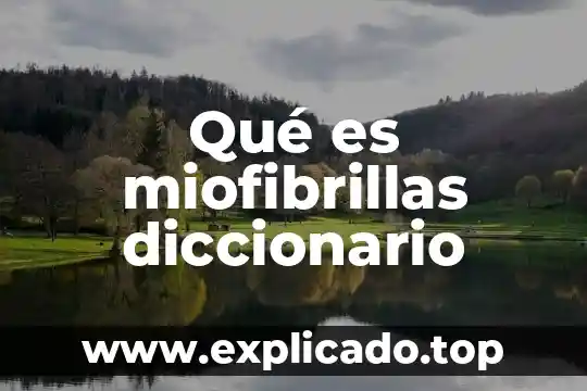 Acepciones de conciencia que es 4 Qué es miofibrillas diccionario