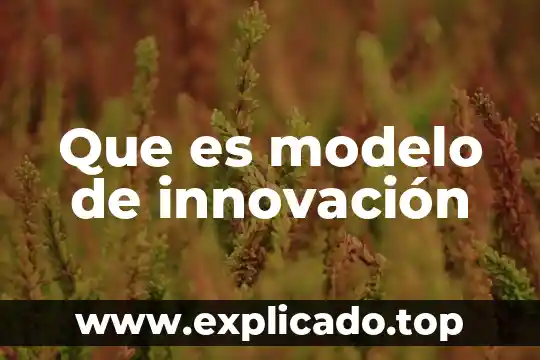 Que es un proyecto de innovacion sustentable 5 Que es modelo de innovación