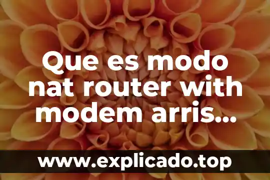 Que es el modo inmortal 3 Que es modo nat router with modem arris tg1652