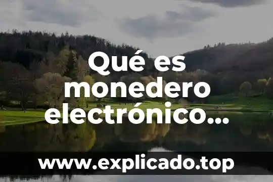 Que es arqueo electronico 5 Qué es monedero electrónico sunat