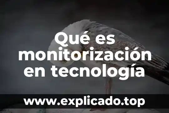 Qué es una tecnología limpia ejemplos 3 Qué es monitorización en tecnología