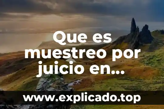 Que es un subconjunto en probabilidad y estadistica 6 Que es muestreo por juicio en estadistica
