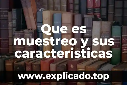 Que es muestreo y sus caracteristicas