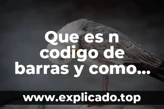 Que es n codigo de barras y como se genera