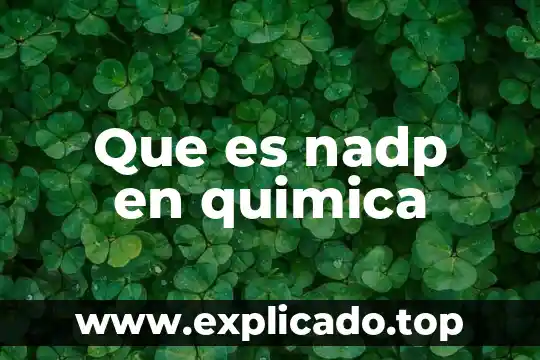 Que es nadp en quimica