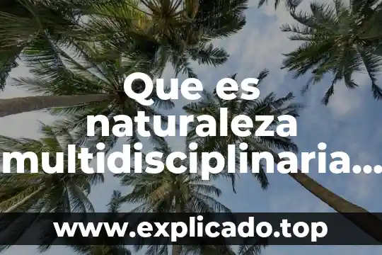 Que es el formato de pedimento de importación definitiva 5 Que es naturaleza multidisciplinaria de los problemas de aprendizaje