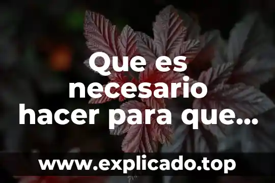 Que es hacer una serie de repeticiones 7 Que es necesario hacer para que se otorga asilo humanos